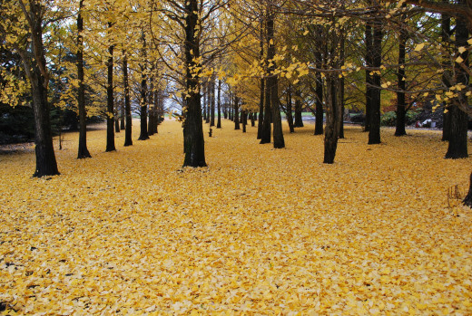 586589 (a): :1920x1285